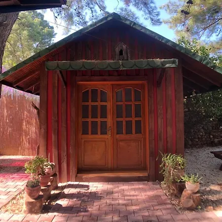 Or Site