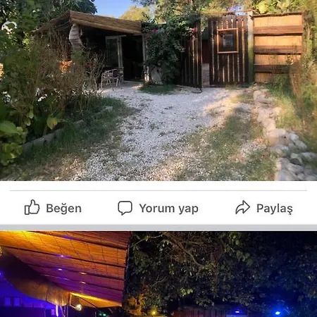 Or Site *