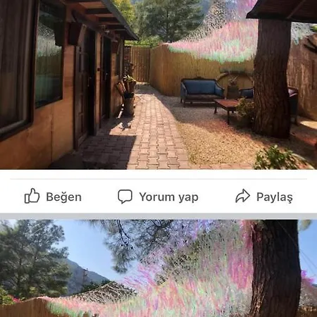 Or Site بيت ضيافة *