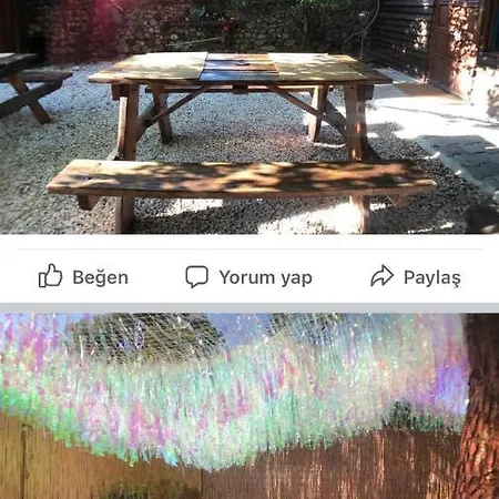 Or Site