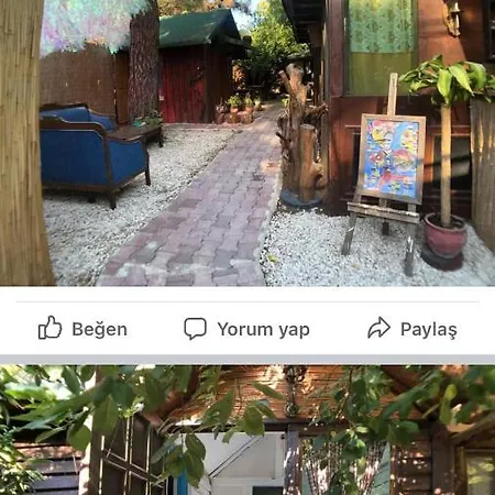 Or Site